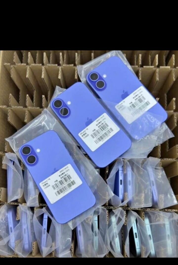 iPhone 11 coque arrière