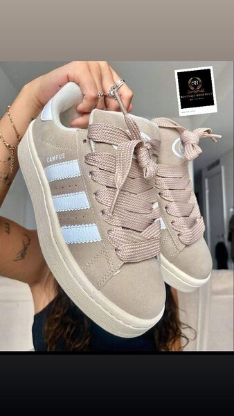 Basket adidas campus authentique 37-45