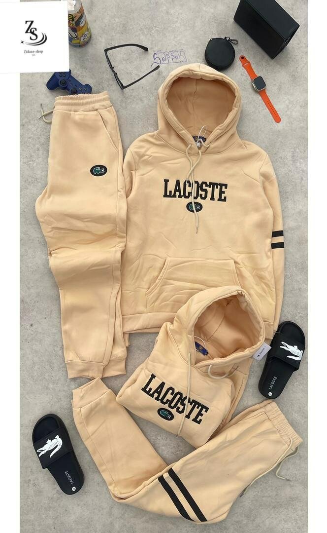 Sweat à capuche Lacoste