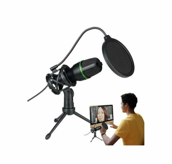 Microphone Professionnel USB