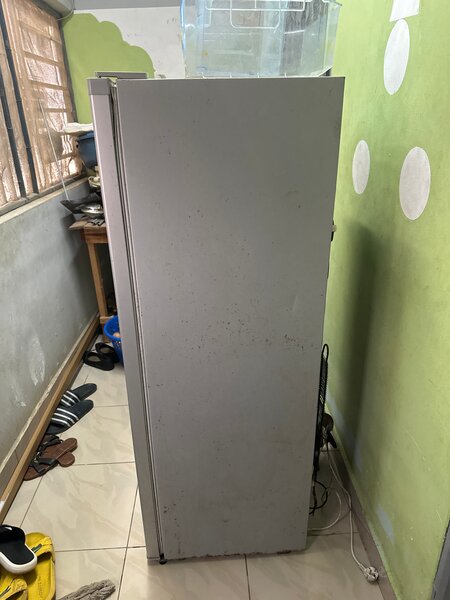 Congélateur vertical rapide et spacieux