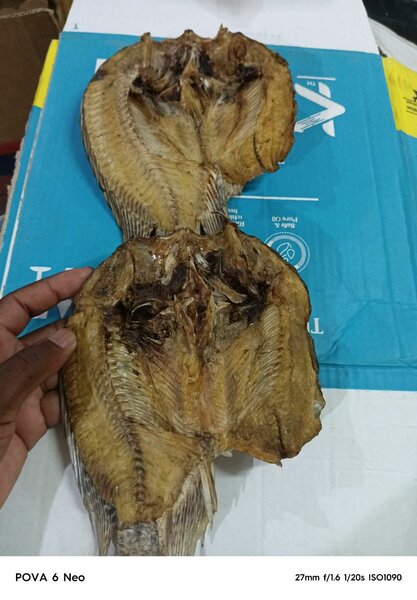 Dry open bream's regular