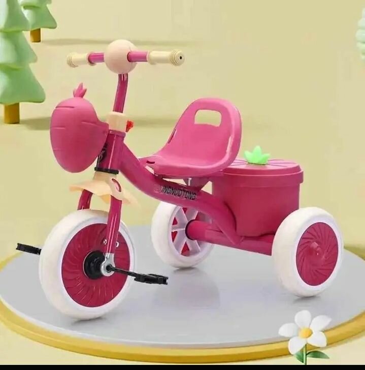 Tricycle pour Enfants