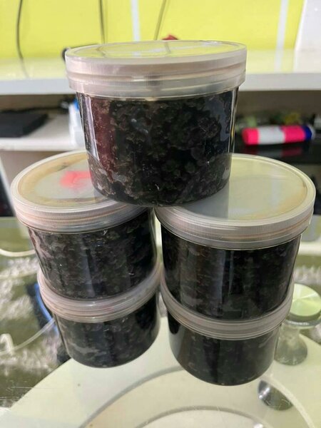 Savon noir Nigérian bio