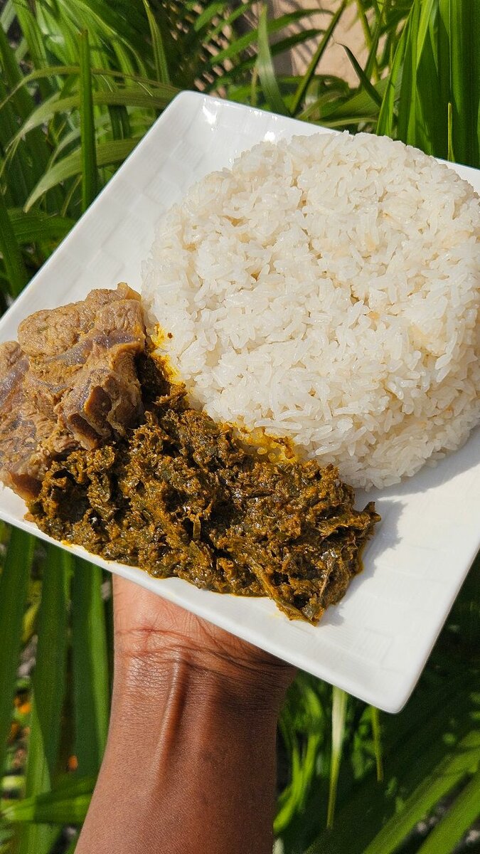 Repas savoureux au riz et viande