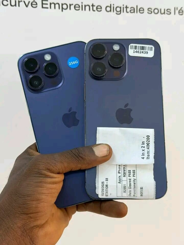 Apple iPhone 13 Pro 256 Go d'occasion