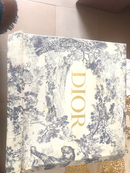 Sac Blanc Christian Dior