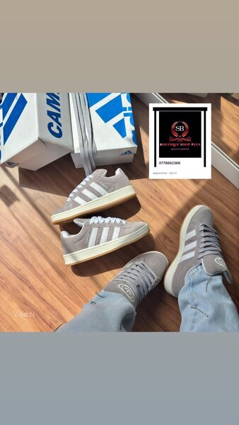 BASKET ADIDAS campus authentique avec sa boîte