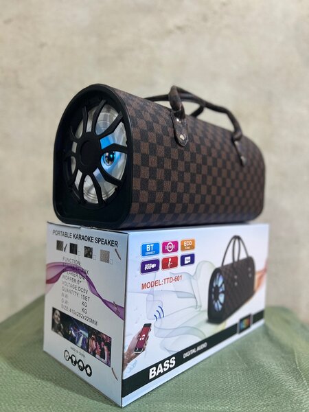 Enceinte Bluetooth Portable Karaoke