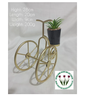 Flower Pots in Golden Metallic (Imported)