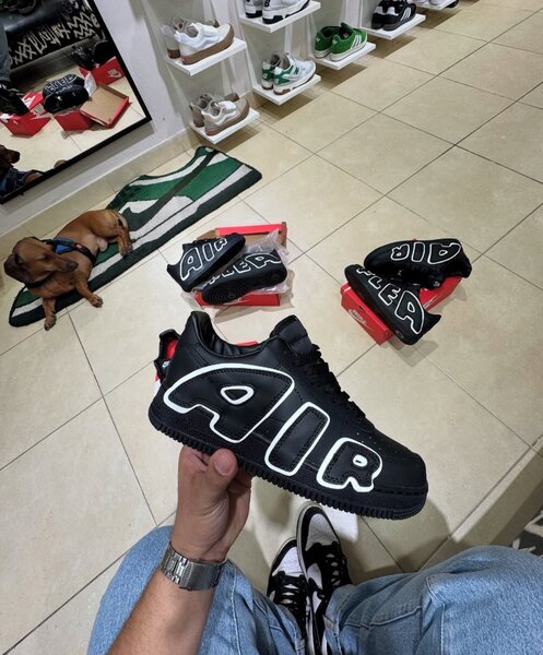 Air Force cactus flea