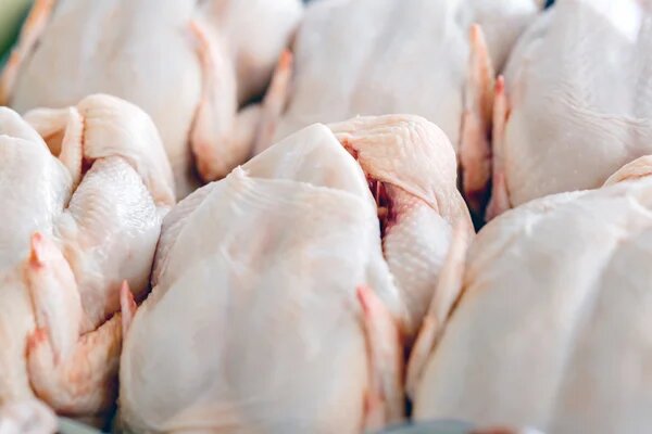 Poulet frais entier premium