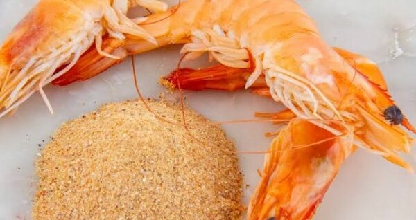 Farine de crevettes savoureuse