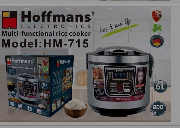 Cuiseur à riz Hoffmans HM-715