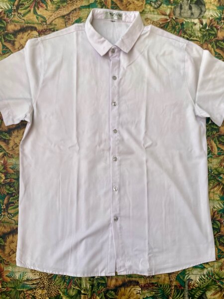 Chemise simple à couleur unique