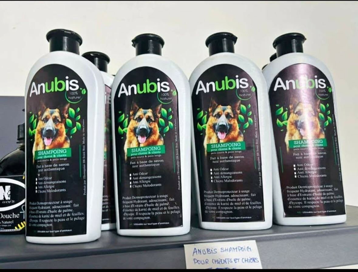 Shampooing Anubis pour Chiens