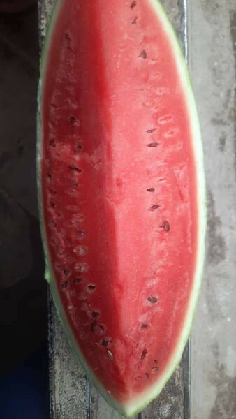 Watermelon