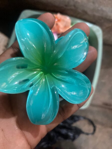 Pinces à cheveux fleurs multicolores