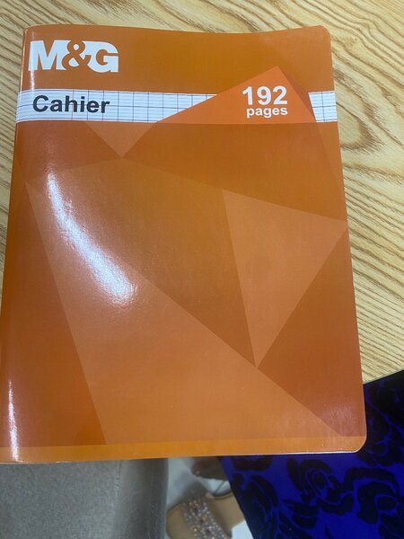 Cahier à carreaux 192 pages