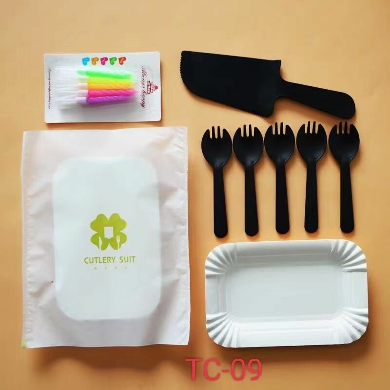 2 Couverts jetables écologique