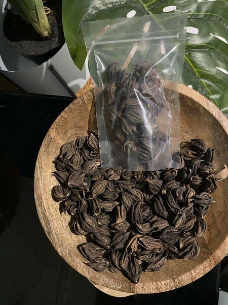 Griffes de lion 1 kilo