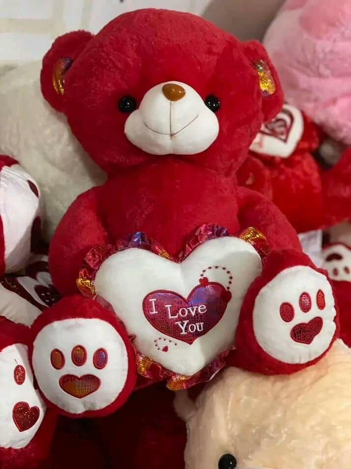 Ours en peluche rouge Saint Valentin