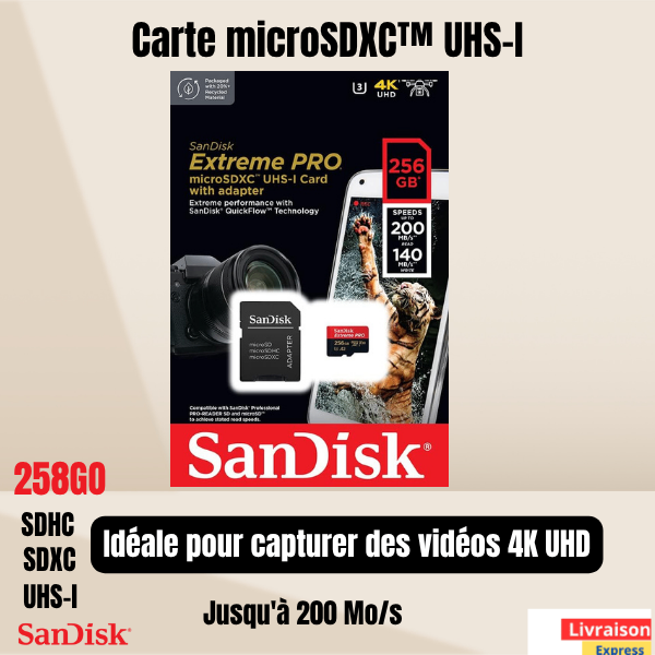 Carte SanDisk Extreme Pro 256 Go