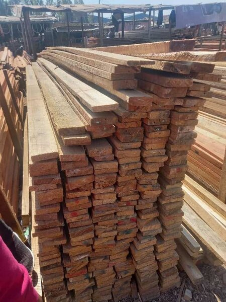 ROOFING & SHUTTERING TIMBERS in 5mtrs white & brown all size