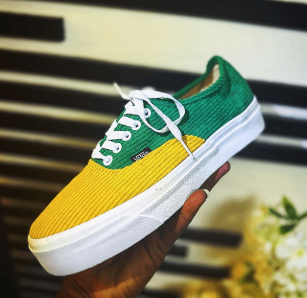 Chaussures Vans Bicolores