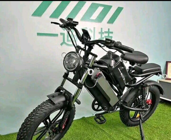 Vélo Électrique Tout Terrain - Noir