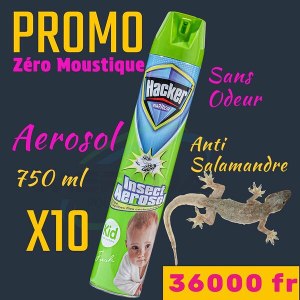 10 Aerosols salamandre 750ml