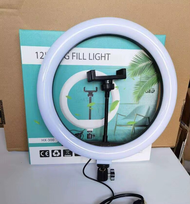 Lampe anneau LED 12''
