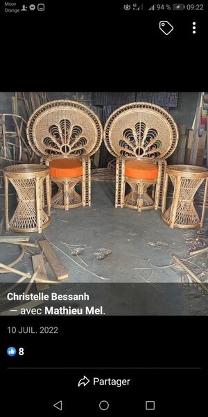 Chaises en rotin élégantes