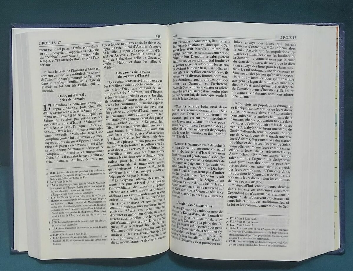 Bible en Français Couverture Bleue