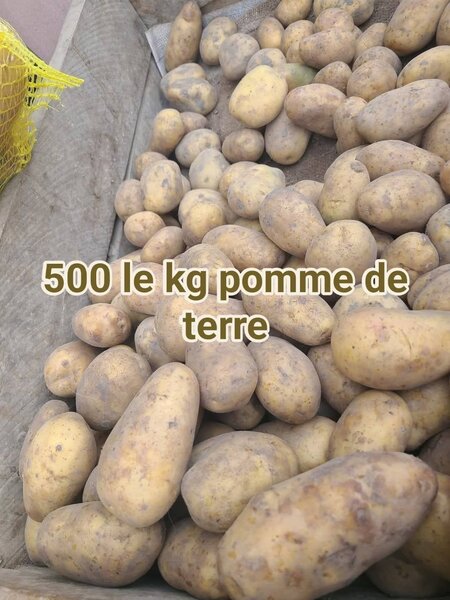 Légumes frais variés