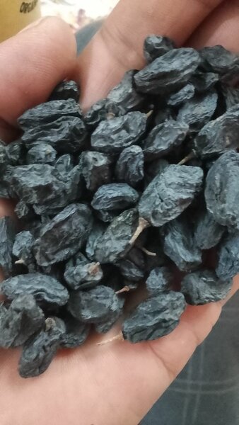 Black Raisins
