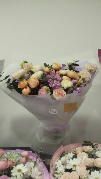 Композиции