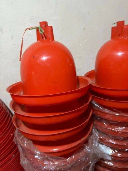 Automatique Rouge Poulet Boire