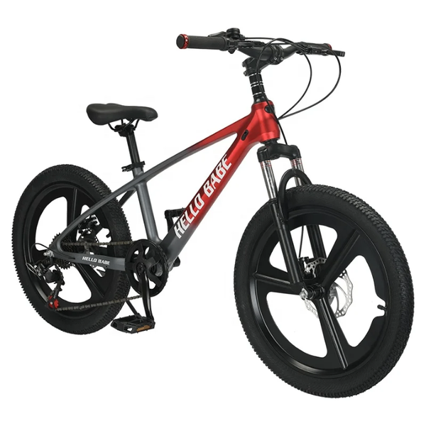 Vélo tout-terrain robuste