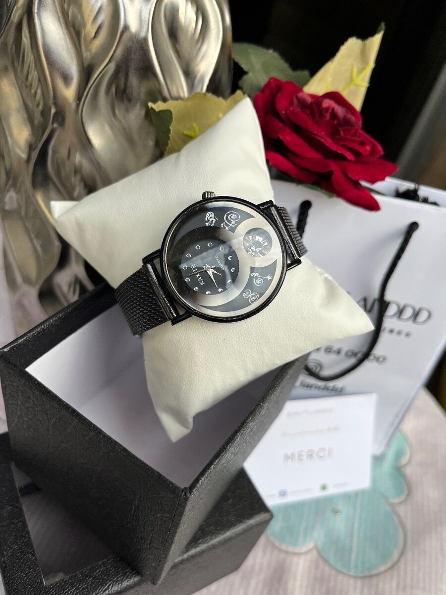 Montres Élégantes en Acier