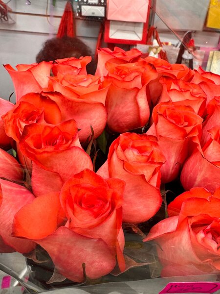 Шикарные Голландские Розы