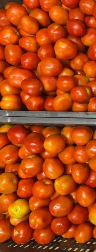 Tomates fraîches juteuses