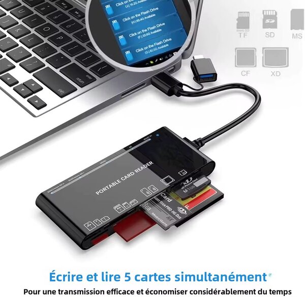 Lecteur de carte Portable