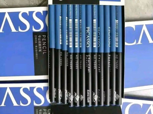 Crayon Charbon PICASSO pour dessin