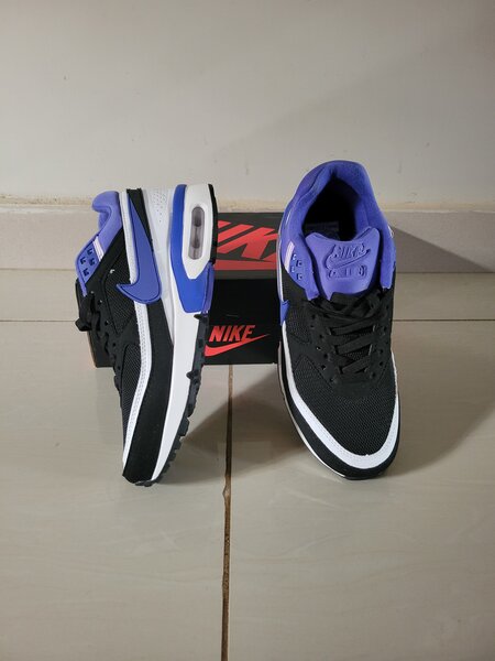 Nike Air Max Persian Violet