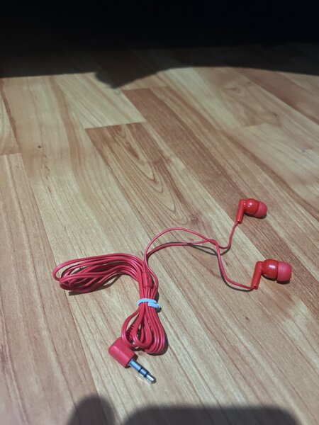 Earphones