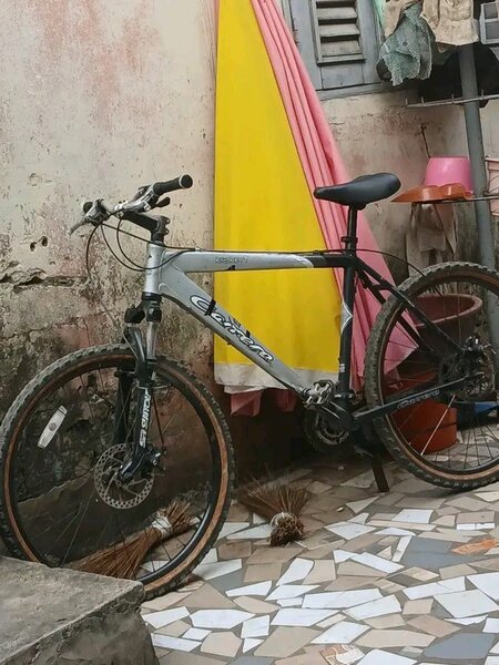 Velo de montagne hommes - Silver