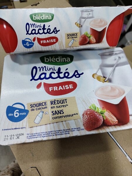 Blédina Mini Lactés Assortis