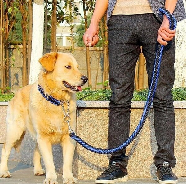 Laisse pour chien robuste