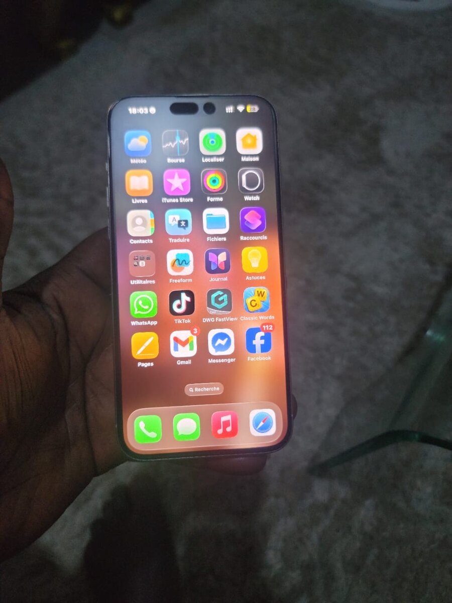 iPhone Pro Max 512 Go - Argent